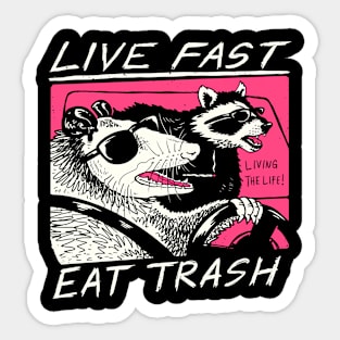 Live Fast Eat Trash And Get Hit By A Car Raccoon Opossum Sticker